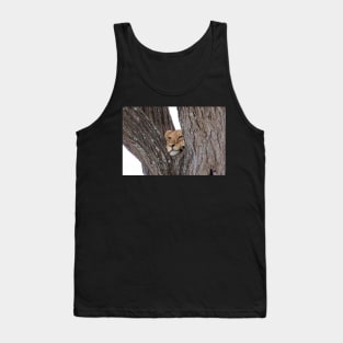 Young Masai Lion on a Tree Tank Top